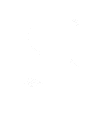 Bag_NEWLOGO - Joel Adams Twisted Syn Logo