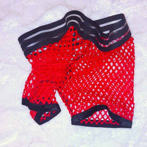 Upended Upended Lingerie Mesh Underwear